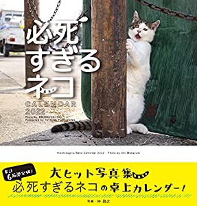 2022ミニカレンダー 必死すぎるネコ ([カレンダー])(中古品)