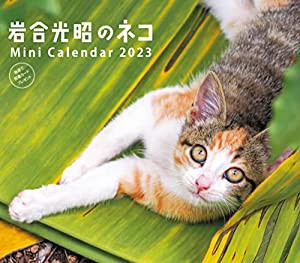 2023ミニカレンダー 岩合光昭のネコ ([カレンダー])(中古品)