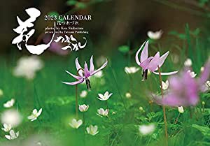 2023カレンダー 花つれづれ ([カレンダー])(中古品)