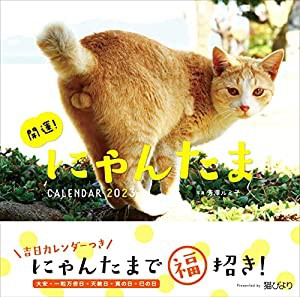 2023カレンダー 開運! にゃんたまカレンダー ([カレンダー])(中古品)