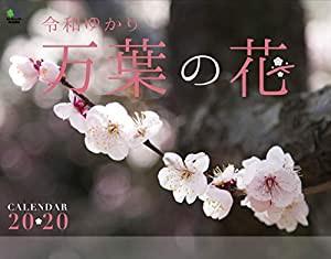 万葉の花カレンダー 壁掛け(2020) ([カレンダー])(中古品)