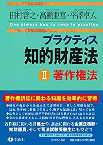 プラクティス知的財産法II〈著作権法〉 (プラクティスシリーズ)(中古品)