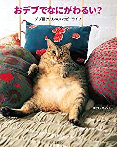 おデブでなにがわるい? デブ猫クリリンのハッピーライフ(中古品)