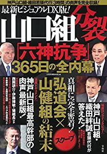 最新ビジュアルDX版! 山口組分裂「六神抗争」365日の全内幕(中古品)