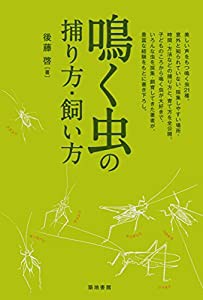 鳴く虫の捕り方・飼い方(中古品)