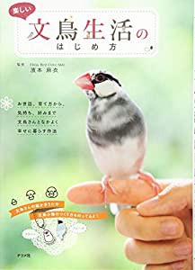 楽しい文鳥生活のはじめ方(中古品)