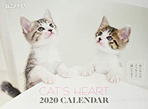 ねこのきもちカレンダー2020 ([カレンダー])(中古品)