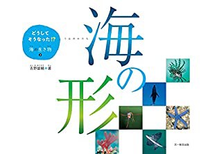 海の形 (どうしてそうなった!?海の生き物)(中古品)