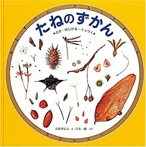 たねのずかん (みるずかん・かんじるずかん)(中古品)