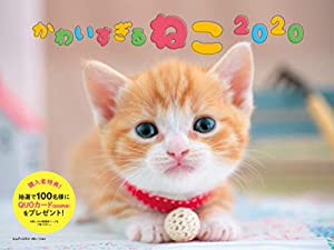 2020 かわいすぎるねこ カレンダー ([カレンダー])(中古品)