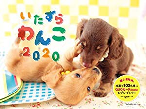 2020 いたずらわんこ カレンダー ([カレンダー])(中古品)