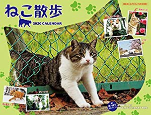 2020 中山祥代 ねこ散歩カレンダー ([カレンダー])(中古品)