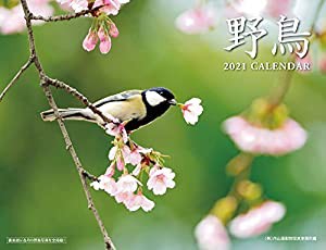 2021 野鳥カレンダー ([カレンダー])(中古品)