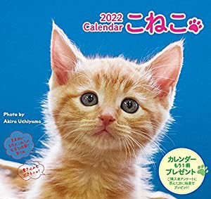 2022こねこカレンダー ([カレンダー])(中古品)