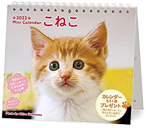 2022ミニカレンダーこねこ ([カレンダー])(中古品)