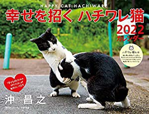 2022幸せを招く ハチワレ猫カレンダー ([カレンダー])(中古品)