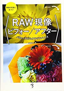 理想の写真に近づく! RAW現像ビフォー/アフター パラメータビジュアルリファレンス(中古品)