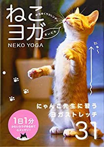 まいにち、ねこヨガ 日めくりカレンダー ([カレンダー])(中古品)