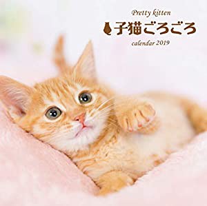 Pretty Kitten 子猫ごろごろカレンダー2019(中古品)