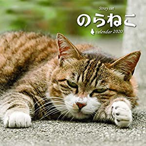 のらねこカレンダー2020 ([カレンダー])(中古品)