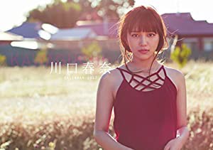 川口春奈CALENDAR2017 ([カレンダー])(中古品)