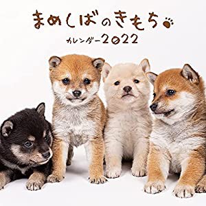 まめしばのきもちカレンダー2022 ([カレンダー])(中古品)