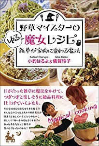 野草マイスターのゆる魔女レシピ(中古品)