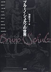 ブルーノ・シュルツの世界(中古品)