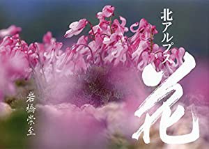 北アルプス 花(中古品)