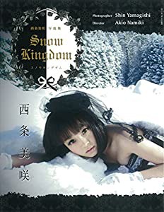 SNOW KINGDOM(中古品)