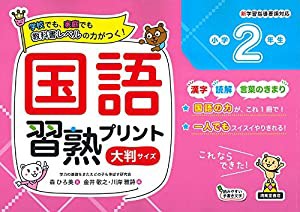 国語習熟プリント 小学2年生 大判サイズ(中古品)