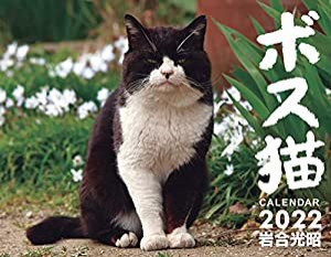 ボス猫カレンダー2022【特別付録 A1サイズポスターカレンダー付】 ([カレンダー])(中古品)