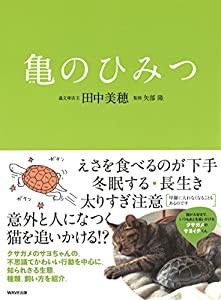 亀のひみつ(中古品)