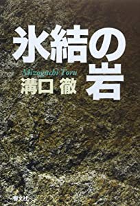 氷結の岩(中古品)