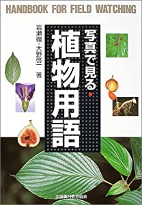 写真で見る植物用語 (野外観察ハンドブック)(中古品)