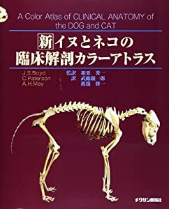 新イヌとネコの臨床解剖カラーアトラス(中古品)