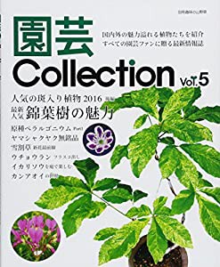 園芸Collection vol.5 斑入り植物後編 原種ペラルゴニウム ヤマシャクヤク無銘品 (別冊趣味の山野草)(中古品)