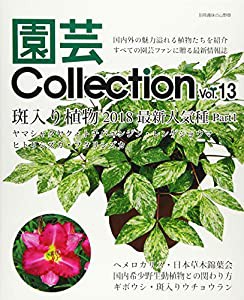 園芸Collection vol.13 斑入り植物ヘメロカリス国内希少野生動植物との関わり方 (別冊趣味の山野草)(中古品)