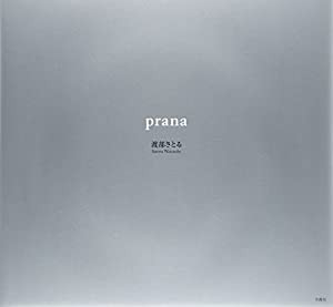 prana(中古品)