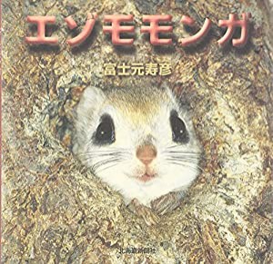 エゾモモンガ(中古品)