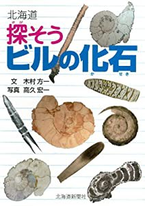 北海道 探そうビルの化石(中古品)