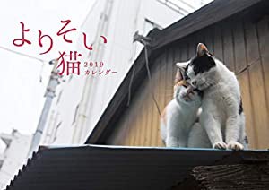 よりそい猫カレンダー2019 ([カレンダー])(中古品)