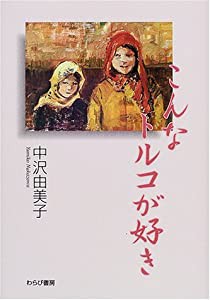 こんなトルコが好き(中古品)