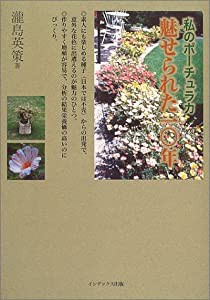 私のポーチュラカ・魅せられた10年(中古品)