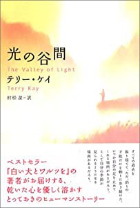 光の谷間(中古品)