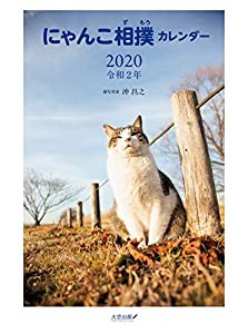 にゃんこ相撲カレンダー2020 ([カレンダー])(中古品)