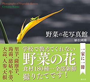 野菜の花写真館(中古品)