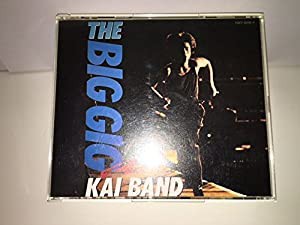 THE BIG GIG(中古品)