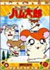 DVD とっとこハム太郎(16)(中古品)