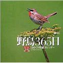 野鳥365日/日めくり壁紙カレンダー(中古品)